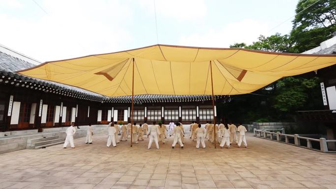 武术培训 学生 集体活动