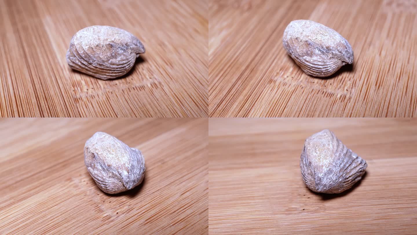 楞小嘴贝化石侏罗纪（1）