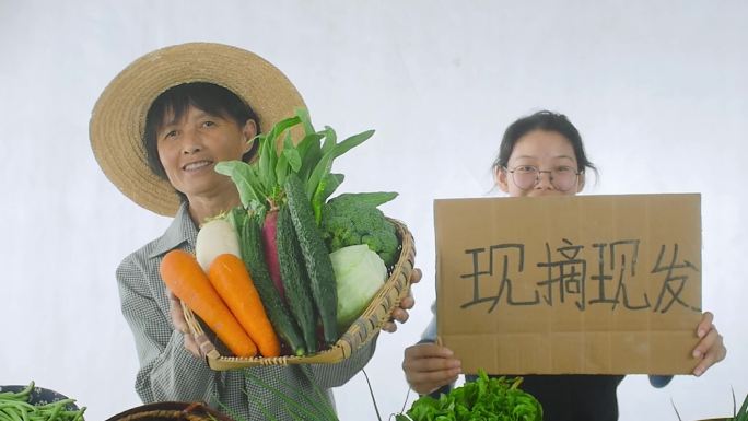 电商扶贫乡村振兴助农