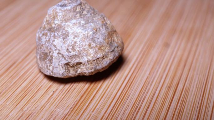 塔形珊瑚化石白垩纪（2）