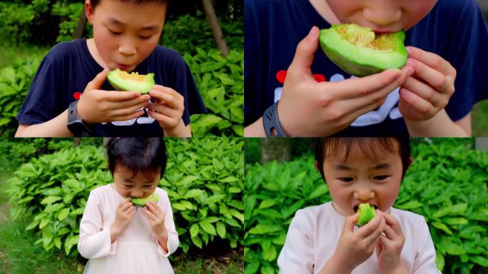 吃瓜 吃绿宝甜瓜的小朋友