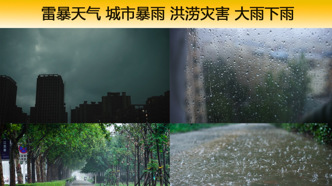 雷暴天气 城市暴雨 洪涝灾害 大雨下雨