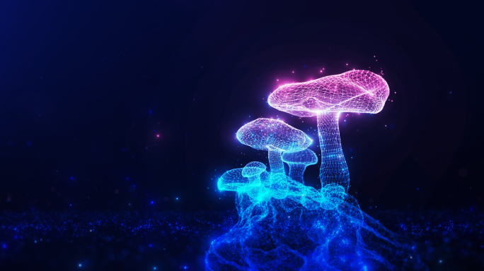 梦幻粒子蘑菇