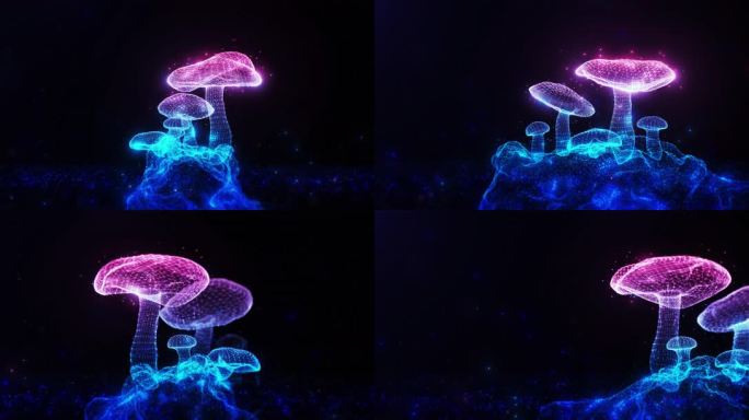梦幻粒子蘑菇