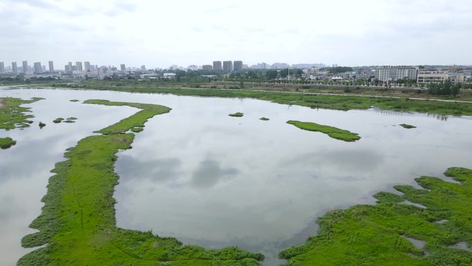 河道 乡镇 城镇建设 航拍