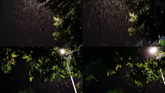 深夜雨点大雨雨声雷雨雨滴风吹夜树摇摆雨夜