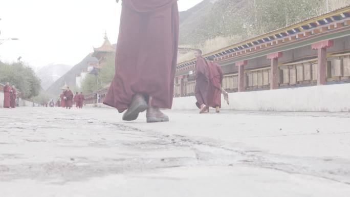 藏族 寺庙僧人 老人走过 纪录片