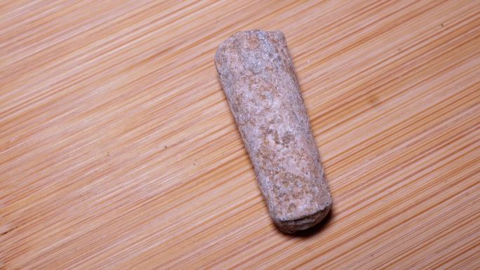 直角石奥陶纪化石（1）