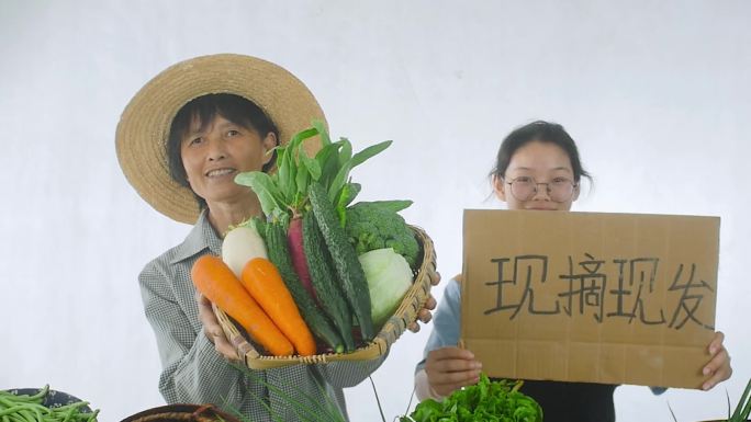 电商扶贫乡村振兴助农