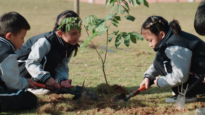 植树 学生 校园