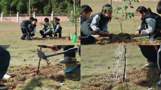 植树 学生 校园