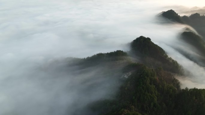 云海流淌山间