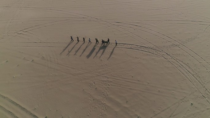 沙漠戈壁 植树造林 绿色植被