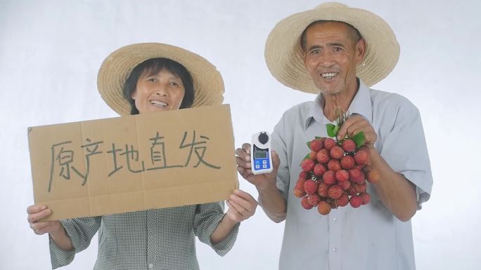 电商扶贫乡村振兴助农