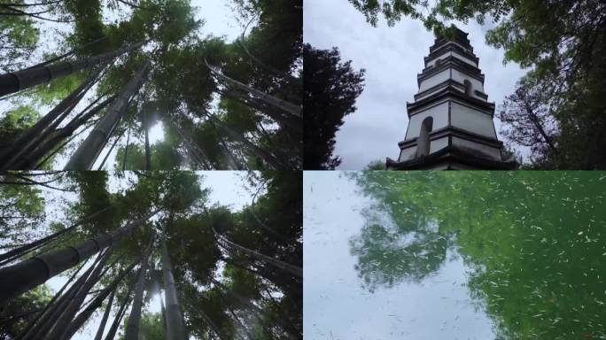 乡村生活 田园风光 传统美食