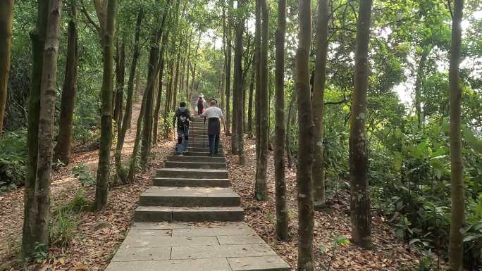 深圳梧桐山登山道