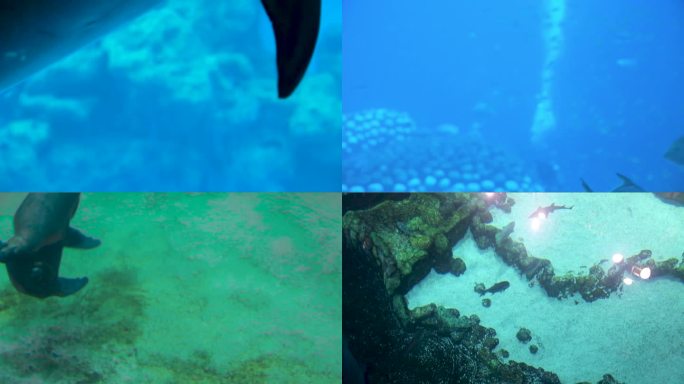 海底世界 水族馆 海洋世界