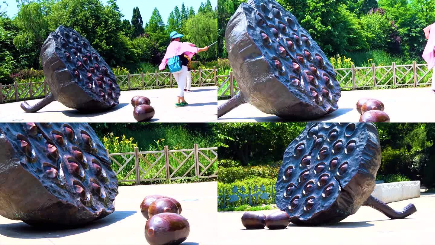 青岛 中山公园 纪念雕塑 孙文莲视频素材