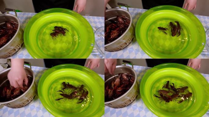 清水浸泡小龙虾（2）