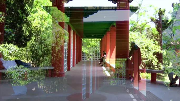 青岛 中山公园 古式建筑 牡丹亭视频素材