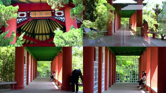 青岛 中山公园 古式建筑 牡丹亭视频素材