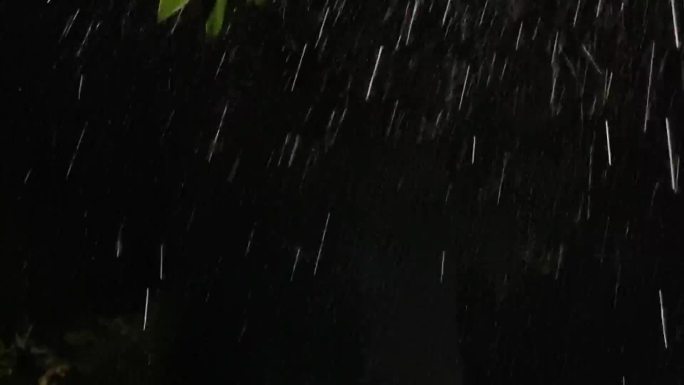 深夜雨点大雨雨声雷雨雨滴风吹夜树摇摆雨夜