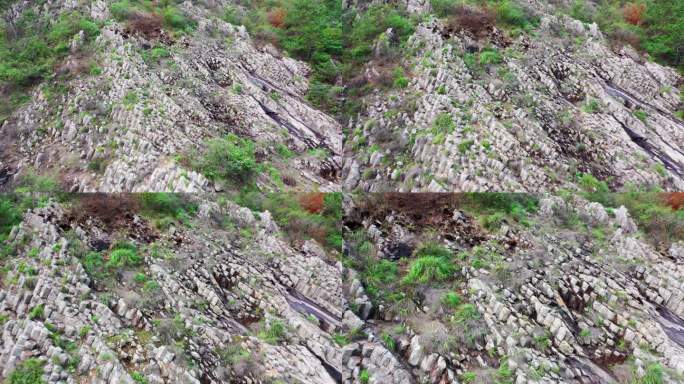 浙江临海大火山珊瑚岩