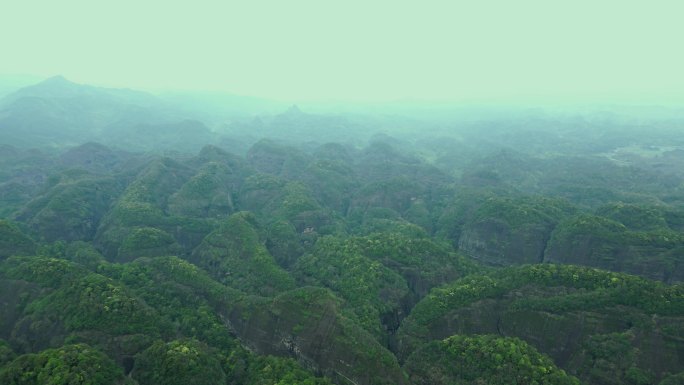 4K 山林 大山