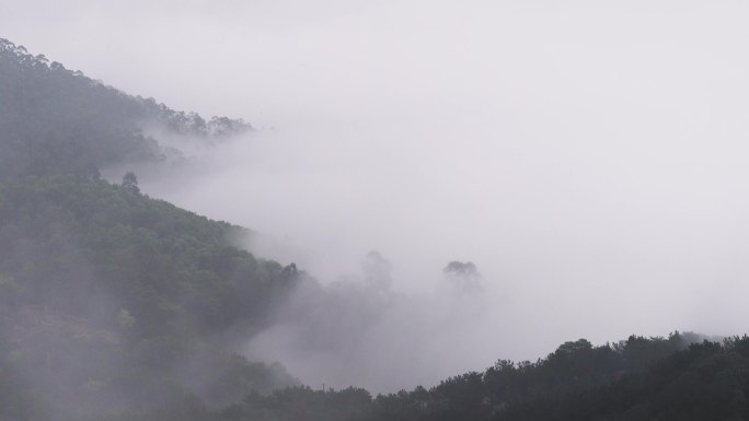 雨后的蔡尖尾山