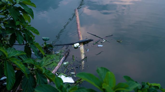 河水污染垃圾漂浮物