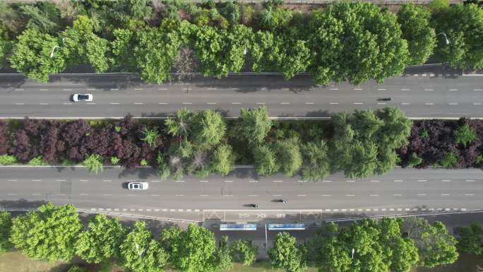 绿化公路航拍干净宁静惬意