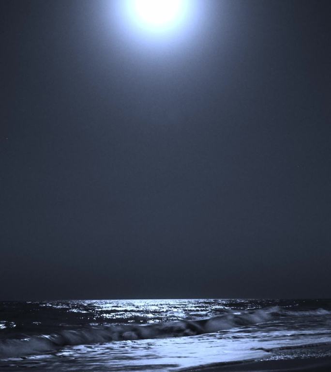 夜晚海边月亮 竖版视频