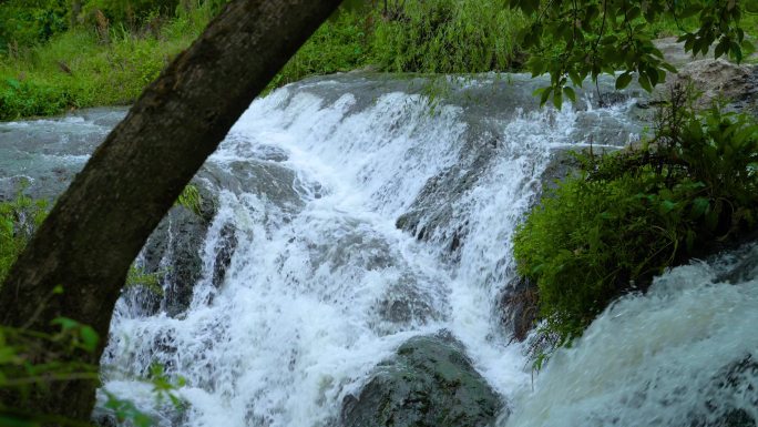 水森林大自然树林雨林泉水水滴雨滴瀑布水源