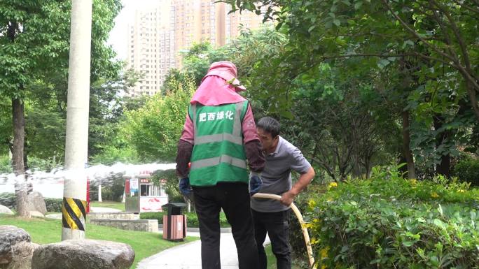 园林工人给植物 浇水