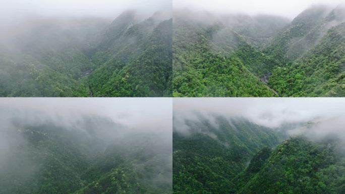 丽水遂昌千佛山雨天航拍4k