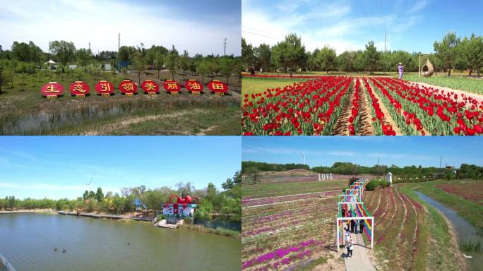 大庆油田碳中和生态园