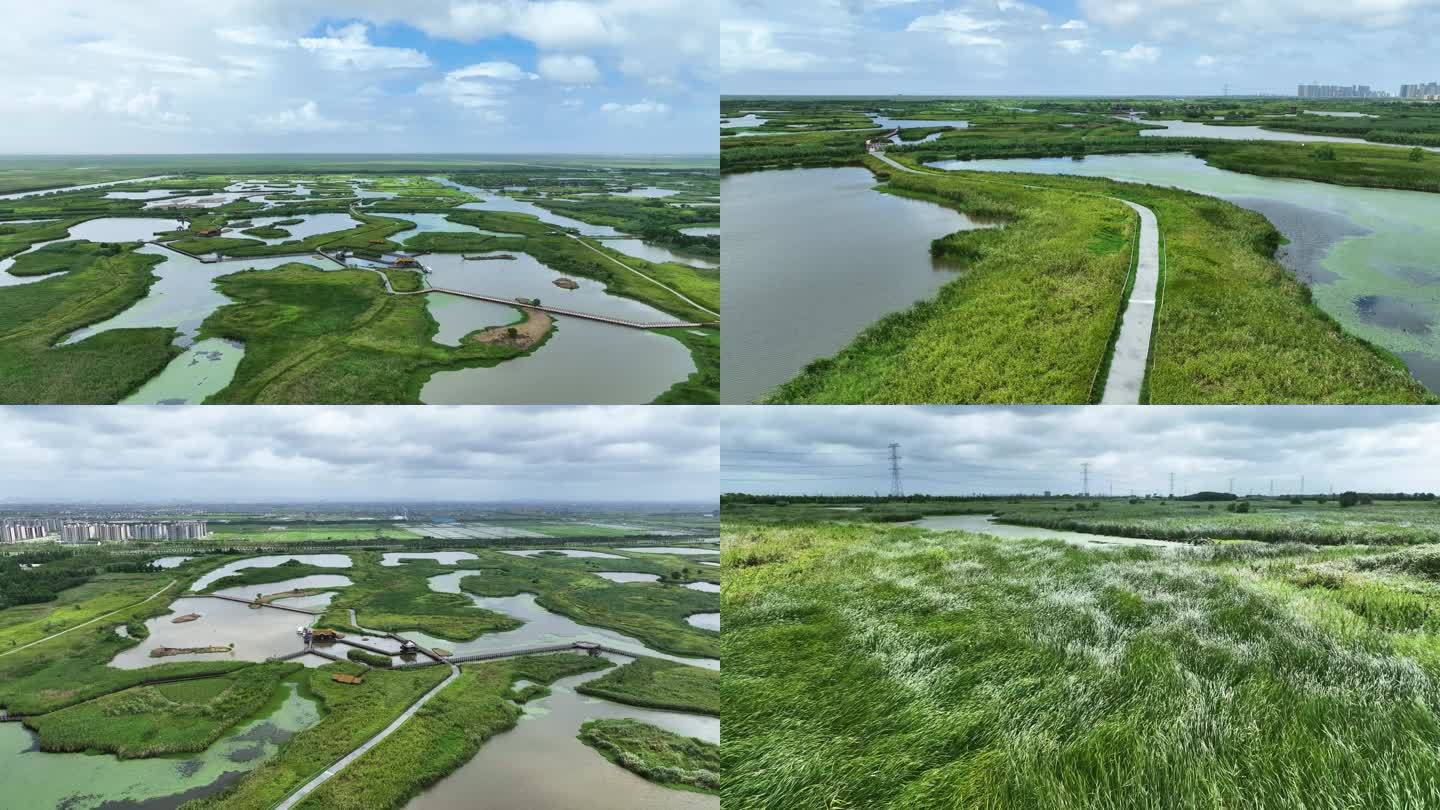 杭州湾湿地公园航拍绿草风浪4K超清素材