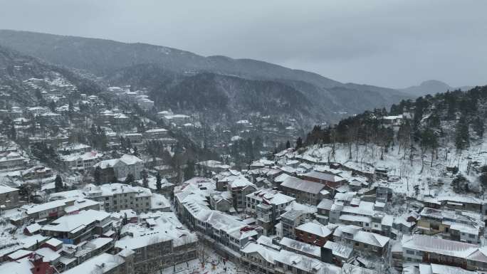 庐山雪景（下雪中，御3拍摄）