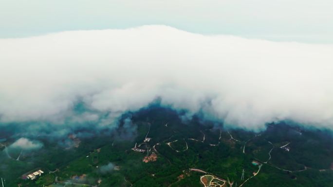 青岛浮山森林公园国信体育场航拍