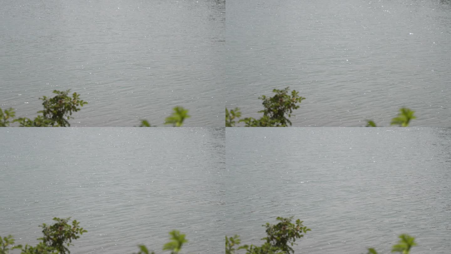 空镜头 微波粼粼的湖面