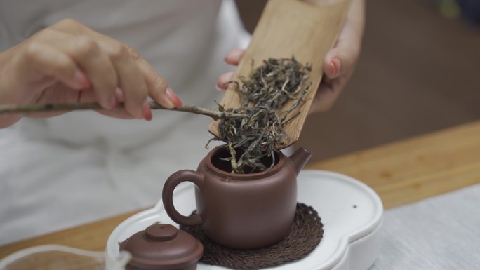 普洱茶紫砂泡茶投茶