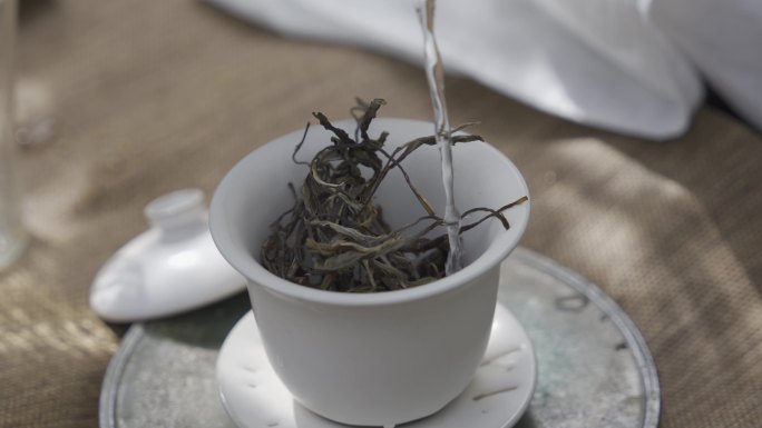 普洱古树茶盖碗泡茶