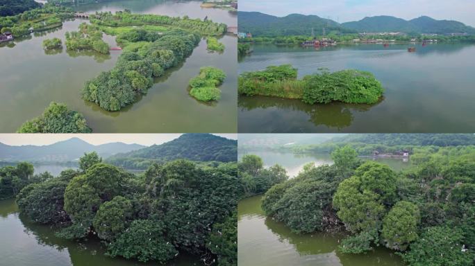 【合集】杭州湘湖绿色生态