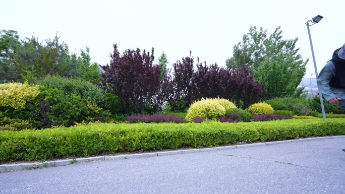 玩滑板的人 滑板翻转