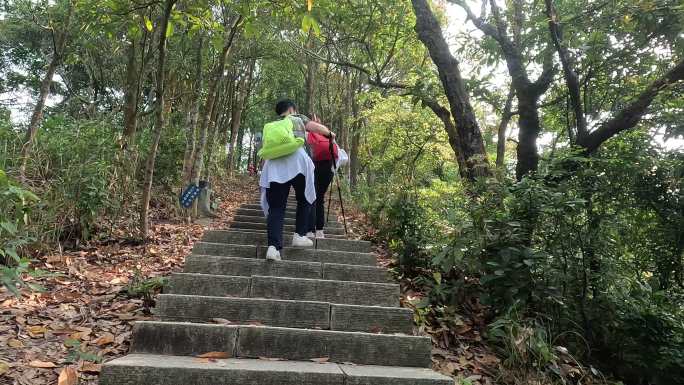 登山运动