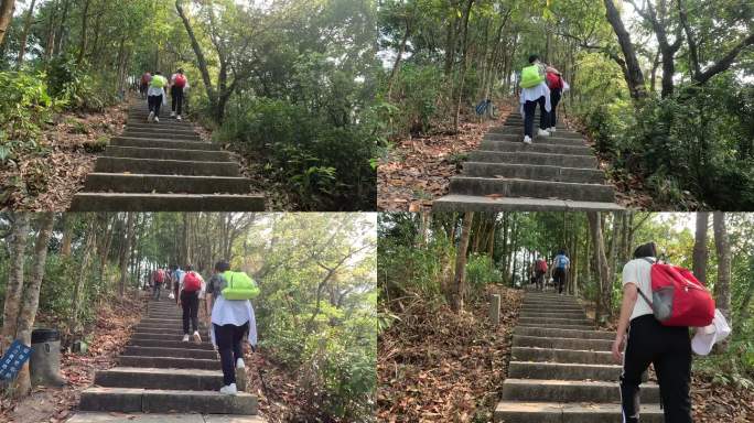 登山运动