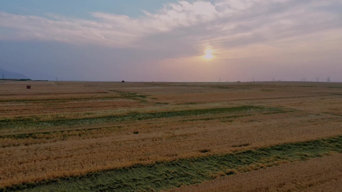 航拍夕阳下的麦田