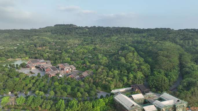 航拍南宁青秀山景区