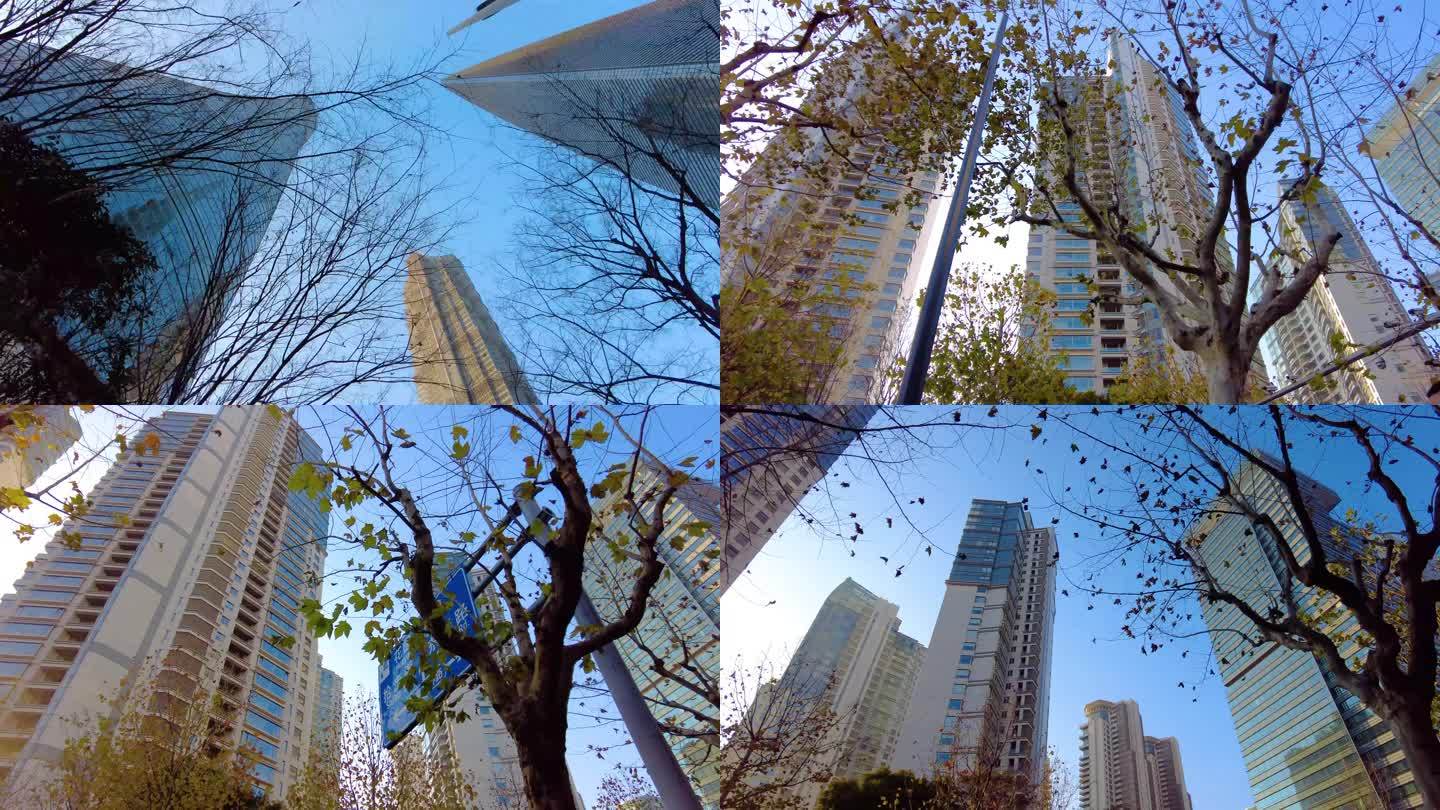 透过树枝仰望陆家嘴三件套高楼大厦风景视频