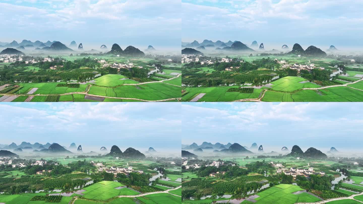 夏天的早晨桂林村庄和稻田上漂浮着一层薄雾